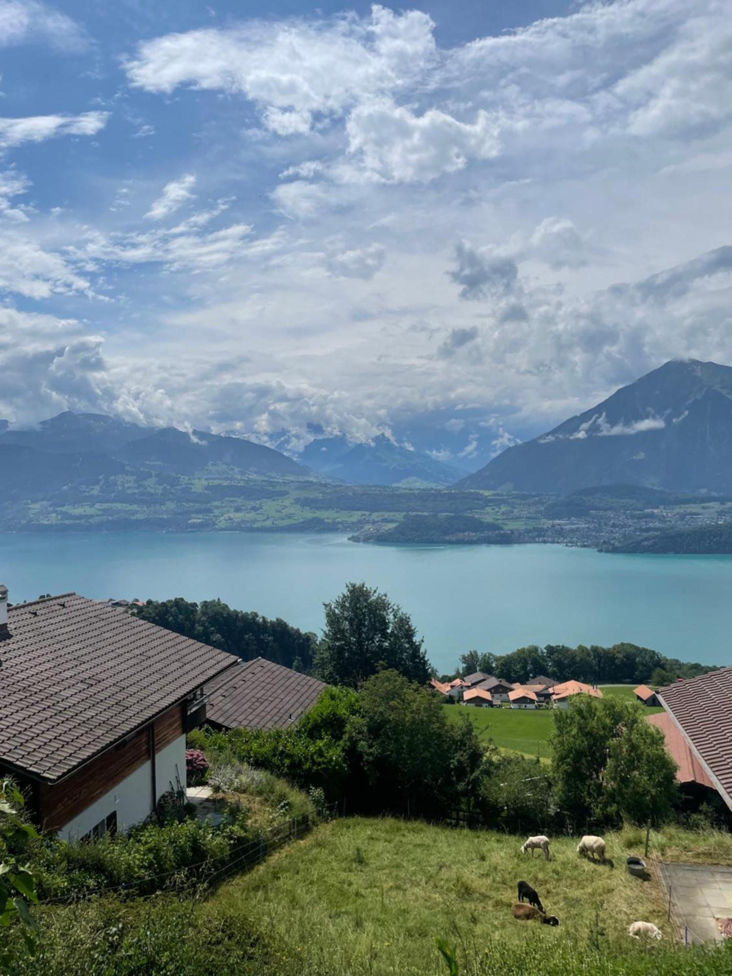 Seeblick Aeschlen Екстер'єр фото